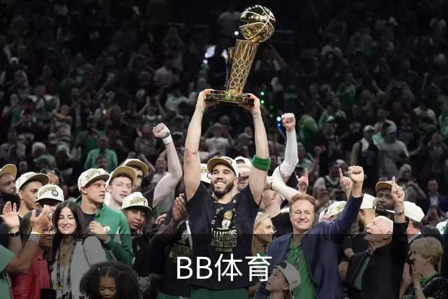BB体育公司介绍展示图